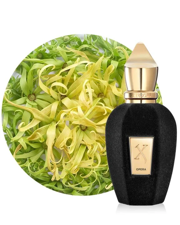 تستر Tester _ عطر زيرجوف أوبرا للجنسين   _ اي دي بارفيوم _ 100 مل